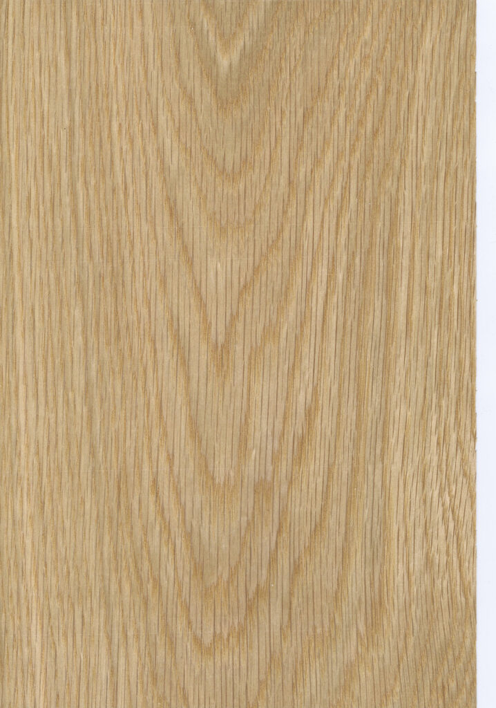 Planskåret egetræ