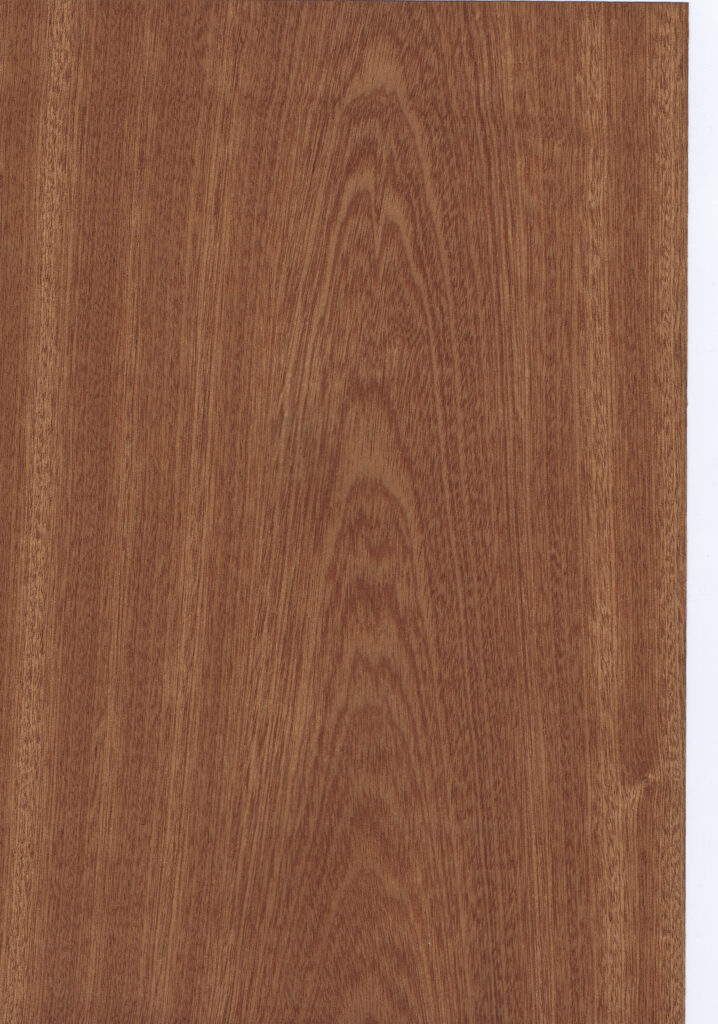 Planskåret mahogni(Sapeli)